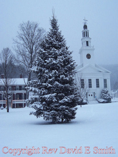 Church and Pine Tree